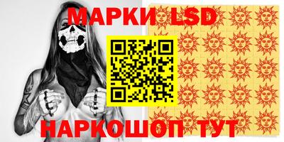 стафф Новодвинск