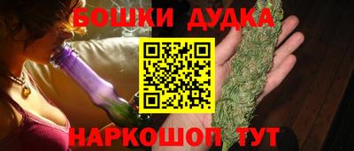 крисы Новокубанск