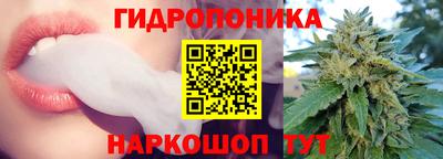 крисы Новокубанск