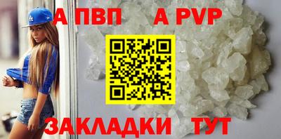 крисы Новокубанск