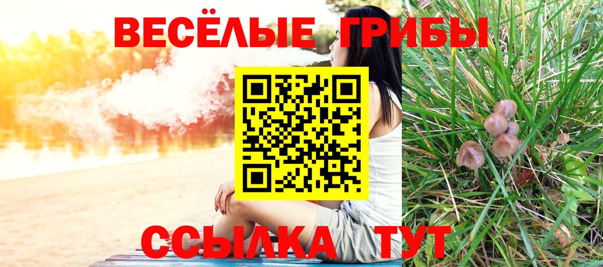 Борзя  Галлюциногенные грибы GOLDEN TEACHER  Галлюциногенные грибы мухоморы  Вход с VPN 