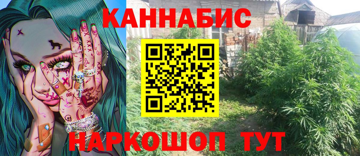 Конопля тримм  Вход с VPN  Борзя  МАРИХУАНА White Widow  Каннабис ГИДРОПОН 